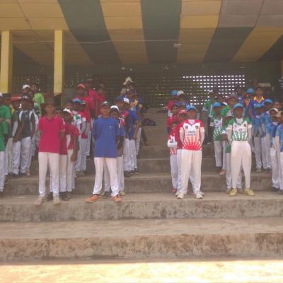 ක්‍රිකට් තරඟාවලිය (නිවාසාන්තර ක්‍රීඩා 2024) 